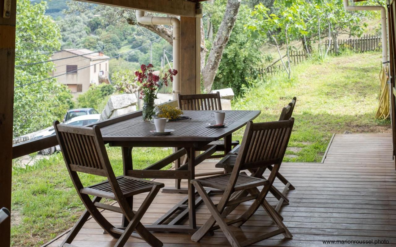 Oliveraie D'Olmiccia Ngoại thất bức ảnh
