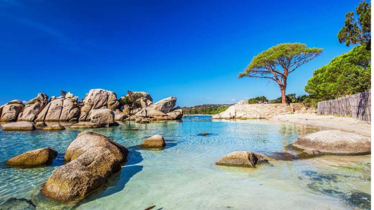 Oliveraie D'Olmiccia Ngoại thất bức ảnh